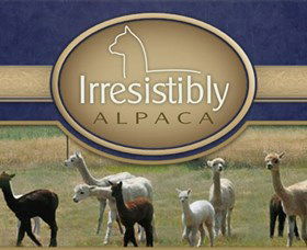 Marchmont Park Alpacas - Accommodation Melbourne 0