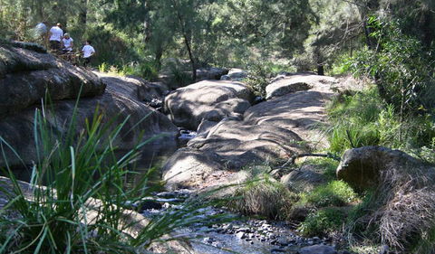 Towarri National Park - Accommodation Melbourne 0
