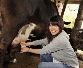 Warrook Farm - Accommodation Melbourne 2