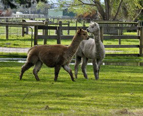 Warrook Farm - Accommodation Melbourne 6