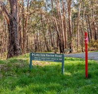 Lobs Hole Ravine 4WD Trail - Accommodation Melbourne