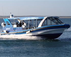 Phillip Island Nature Parks - Accommodation Melbourne 2