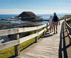 Phillip Island Nature Parks - Accommodation Melbourne 3