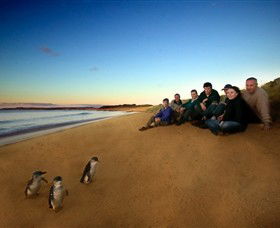 Phillip Island Nature Parks - Accommodation Melbourne 7