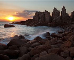 Phillip Island Nature Parks - Accommodation Melbourne 6