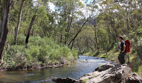 Yarrangobilly Caves - Accommodation Melbourne 1