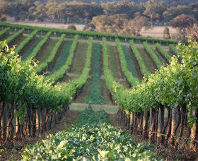 Two Rivers Wines - Accommodation Melbourne 1