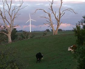 Crookwell Wind Farm - Accommodation Melbourne 1