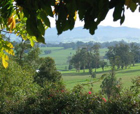 Brandy Creek Wines & View Cafe - Accommodation Melbourne 5