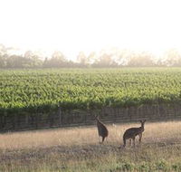 Small Forest Wine - Accommodation Melbourne