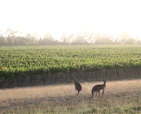 Small Forest Wine - Accommodation Melbourne 0