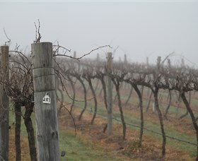 Small Forest Wine - Accommodation Melbourne 1