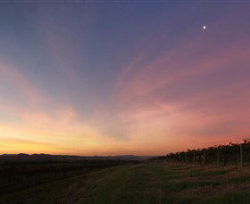 Small Forest Wine - Accommodation Melbourne 2