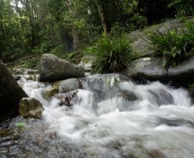 Washpool National Park - Accommodation Melbourne 0