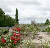 Crystal Brook Lavender Farm - Accommodation Melbourne