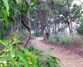 Mount Mutton Walking Trail - Accommodation Melbourne 0