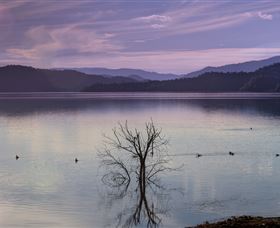 Scone NSW Accommodation Melbourne
