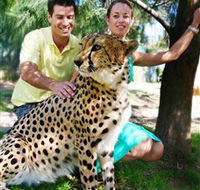 National Zoo  Aquarium - Accommodation Melbourne