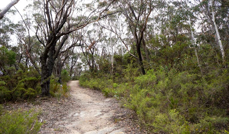 Ganbenang NSW Accommodation Melbourne