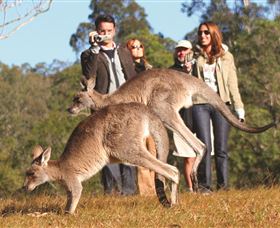 Boutique Tours Australia - Melbourne 4u 2