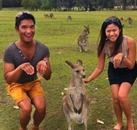 Runaway Tours - Accommodation Melbourne