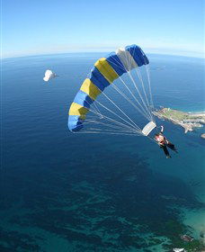 Skydive The Beach And Beyond Sydney - Wollongong - Accommodation Melbourne 6
