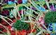 Kerrie Lowe Gallery - thumb 1