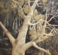 Ku-Ring-Gai Art Centre  Gallery - Accommodation Melbourne