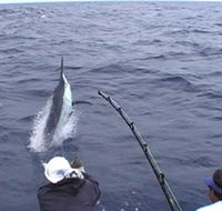 Amokura Charters - Accommodation Melbourne