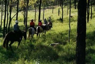 Hunter Valley Horse Riding And Adventures - Accommodation Melbourne 0