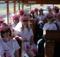 Newcastles Famous Tram - Accommodation Melbourne