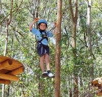 TreeTops Newcastle - Accommodation Melbourne