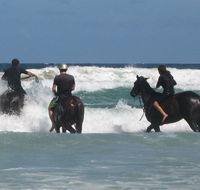 Pegasus Park Equestrian Centre - Accommodation Melbourne