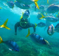 G Adventures - Accommodation Melbourne