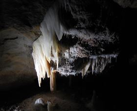 Country Charmâ„¢ Discovery Tours - Accommodation Melbourne 1