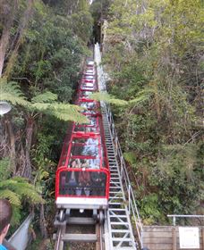 Country Charmâ„¢ Discovery Tours - Accommodation Melbourne 6