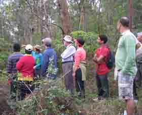 Boronia Tours - Accommodation Melbourne 0