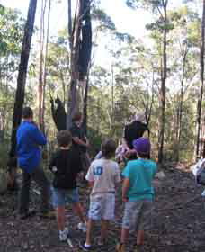 Boronia Tours - Accommodation Melbourne 1