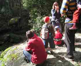 Boronia Tours - Accommodation Melbourne 2