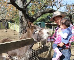 Golden Ridge Animal Farm - Accommodation Melbourne 1