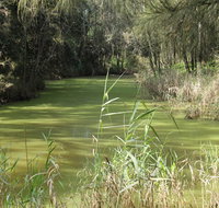 Second Ponds Creek walk - Accommodation Melbourne