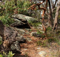 Box Head track - Accommodation Melbourne