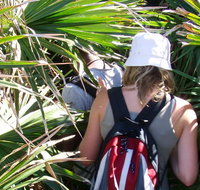 Palm Jungle loop track - Accommodation Melbourne