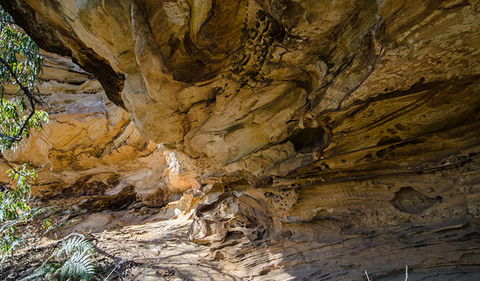 Marramarra National Park - Accommodation Melbourne 0