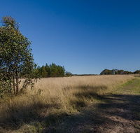 Scheyville horse riding trails - Accommodation Melbourne