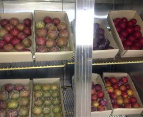 Canoelands Orchard - Accommodation Melbourne 1