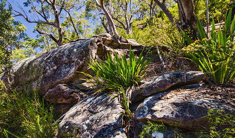 Canoelands Ridge Walking Track - Accommodation Melbourne 1