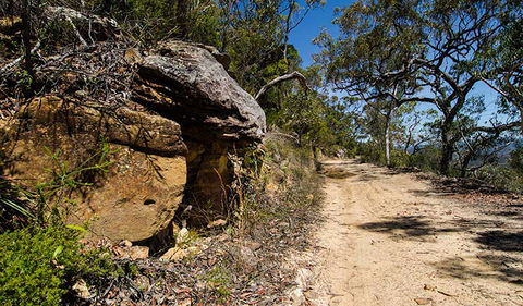 Canoelands Ridge Walking Track - Accommodation Melbourne 0