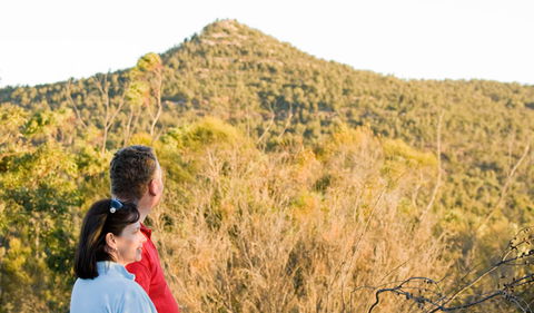 Piles Creek Loop - Accommodation Melbourne 0
