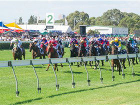 Morphettville Racecourse - Accommodation Melbourne 0